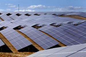 Iberdrola solar panels